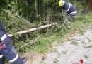 Stmk: Wieder mehrere Einsätze durch Sturm für die Feuerwehren des Abschnittes 6 im Bereichsfeuerwehrverband Graz-Umgebung