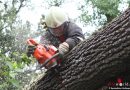 Deutschland: Windhose ruft Feuerwehr in Seester vier Mal auf den Plan