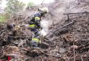 Oö: Langwieriger Brand am Stadtfriedhof bei brütender Hitze fordert Trauner Feuerwehr