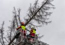 Oö: Feuerwehr Traun beseitigt Sturmschaden