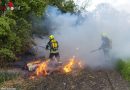 Nö: Brand von mehreren Strohballen neben Windschutzgürtel → und der tierische Helfer