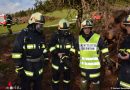 Oö: Feuerwehr Kronabittedt → Bezirks-Leistungsprüfung in Gold bestanden