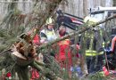 Nö: Landwirt in St. Valentin unter Baum eingeklemmt