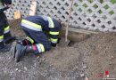 Stmk: Feuerwehr Vasoldsberg befreit Hund „Grinch“ nach Katzenjagd