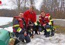 Ktn: Feuerwehr in Villach rettet in Eis eingebrochenen Hund