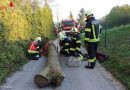 Oö: Eine Übung der besonderen Art bei der Vorchdorfer Feuerwehr