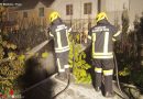 Nö: Brennende Thujenhecke in Waidhofen an der Thaya