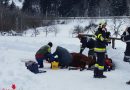 Stmk: Feuerwehr befreit Pferd aus Weiderost → Pferd steckt mit allen Beinen zwischen Gitterstäben