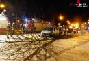 Deutschland: Baumast bei Unfall in Walsrode gekappt