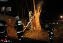 Oö: Baumbrand und Lkw-Bergung mit Seilwinde in Weißkirchen