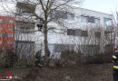 Oö: Statt Katze musste Feuerwehr Wels einen Jugendlichen vom Baum retten