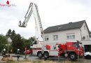 Oö: Hornissennest verstopft Kamin und sorgt für Rauchentwicklung in Gebäude