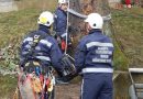 Nö: Höhenretter der Berufsfeuerwehr Wien holen verstiegene Katze vom Baum