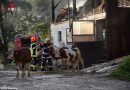 Oö: Alarmstufe II+ bei Bauernhofbrand in St. Willibald → 74 Tiere gerettet