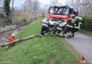 Nö: Feuerwehr Wiener Neudorf am 1. Dezember 2015 weiterhin im Sturmeinsatz