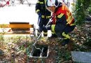 Nö: Feuerwehr Wiener Neudorf rettet Schlange aus Schacht