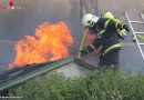 Nö: Großbrand in Kleingartenanlage in Wiener Neustadt – Vier Gartenhütten zerstört