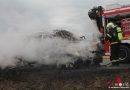 Nö: Wieder Autovollbrand auf der Südautobahn bei Wiener Neustadt