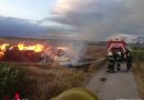 Nö: Abendlicher Strohtristenbrand – rasche Hilfe durch Feuerwehr Wiener Neustadt