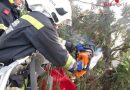 Nö: Sturmfront beschäftigt Feuerwehr in Wiener Neustadt