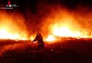 Nö: Großalarm und Südbahnsperre bei mehreren Brandausbrüchen in Wiener Neustadt