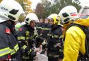 Nö: Chlorgasaustritt in Wr. Neustadt fordert verletzte Kinder → Kätzchen gerettet