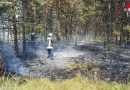 Nö: Beginnender Waldbrand in Eggendorf rasch eingedämmt und erfolgreich bekämpft