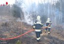 Ktn: Kräfteraubende Feuerwehrarbeit bei Waldbrand am Dachberg