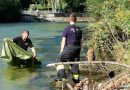 Oö: Feuerwehr rettet Eule aus Traunfluss