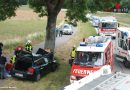 Nö: Pkw Lenkerin prallt in Biedermannsdorf frontal gegen Baum