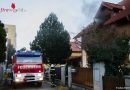 Nö: Aufmerksamer Passant bemerkt Küchenbrand – Feuerwehr reanimiert Katze!