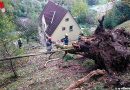 Stmk: Umgestürzter Baum bedroht Wohnhaus