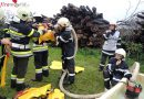 Stmk: Großübung – Waldbrand im unteren Stainztal