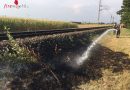 Nö: Anrainer bekämpft Bahndammbrand mit Gartenschlauch