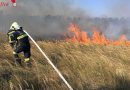 Nö: Neuerlicher Wald- und Flurbrand am TÜPL Großmittel