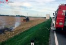 Nö: Abgeerntetes Maisfeld in Brand geraten