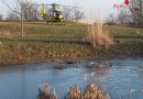 Nö: Großes Glück – Drei Buben auf Suche nach ihrem Ball in Teich eingebrochen