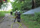 Nö: Sechs Feuerwehren beteiligen sich an einer Waldbrandübung