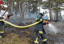 Nö: Körperliche Höchstleistungen bei Waldbrand in der Sommerhitze