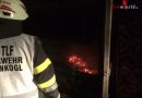 Stmk: Aufmerksamer Feuerwehrmann entdeckt Waldbrand in Entstehungsphase