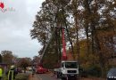 Deutschland: Waldarbeiter aus 15 Metern Höhe gerettet