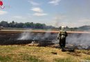 Stmk: 80.000 Quadratmeter großes Feld in Brand geraten