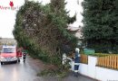 Oö: Baum in Schräglage war rasch zu Kleinholz gemacht