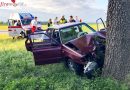 Oö: Mit Auto gegen Baum geprallt – Lenker tot