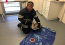 Stmk: Feuerwehr fängt jungen Schwan ein