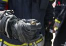 Oö: Ringelnatter aus Wohnhaus in Kremsmünster gerettet