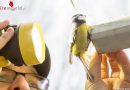 Nö: Feuerwehr befreit Vogel aus einem Eisenrohr