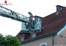 Oö: Feuerwehr rettet verängstigtes Kätzchen von Hausdach