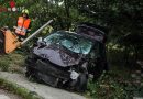 Oö: Apfelbaum gefällt – Zaun durchbrauchen – Baum gerammt