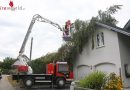 Oö: Baum stürzte beim Umschneiden auf Wohnhaus